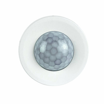 BURGsmart Protect MOTION 2012