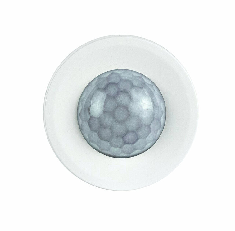 BURGsmart Protect MOTION 2012